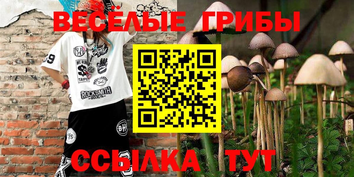 Меф МЯУ МЯУ  ГАШИШ  Вейп ТГК  Липецк  Лсд 25  МЕФ   Вход с VPN 